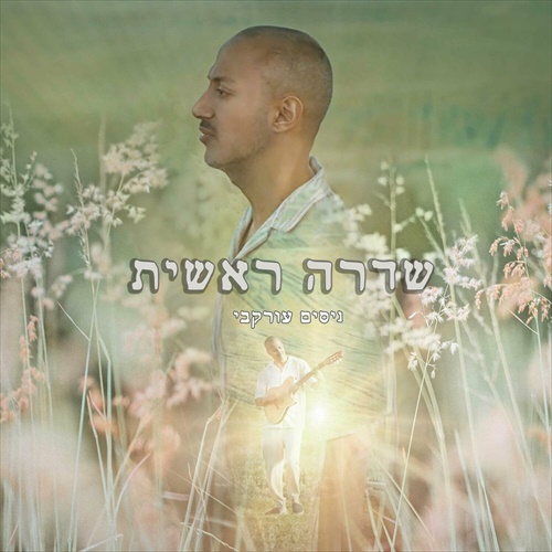 תמונה