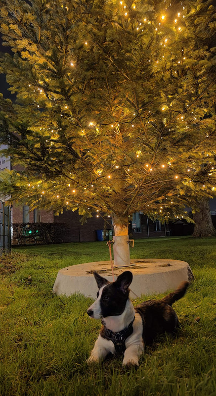 received_788608671870349