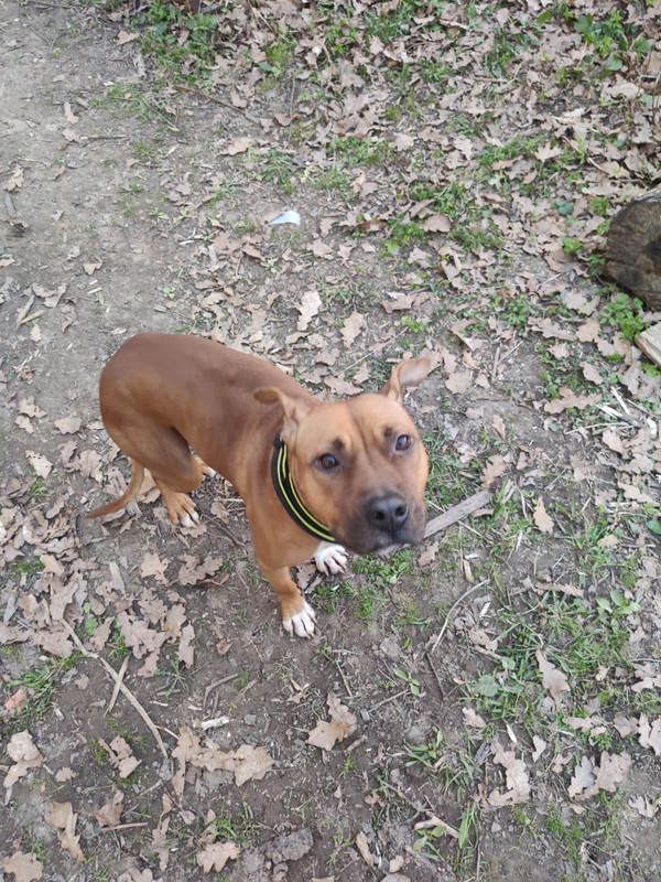 1DEDD302-4553-4241-819D-ABDC5AEDDFE0