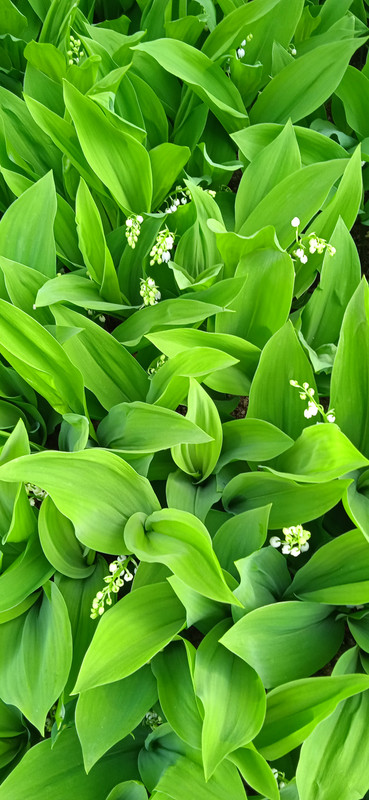 IMG_20240414_164032[1]