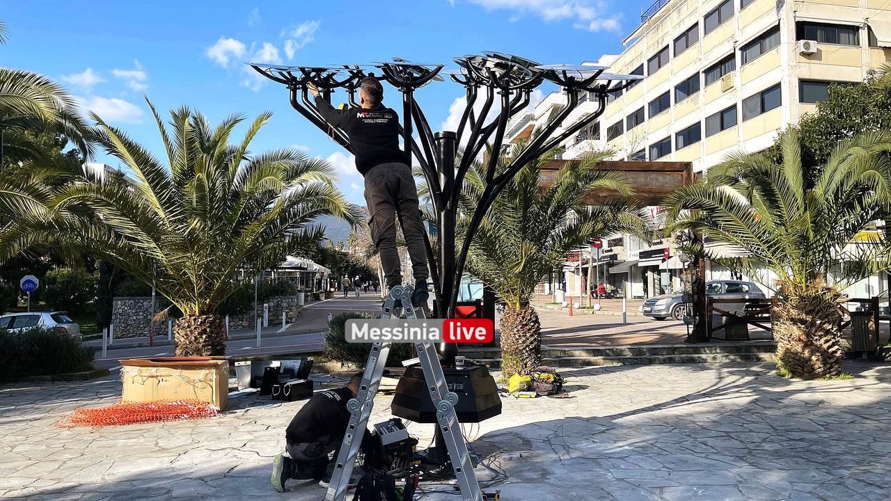 ΕΞΥΠΝΟ ΔΕΝΤΡΟIMG_0043