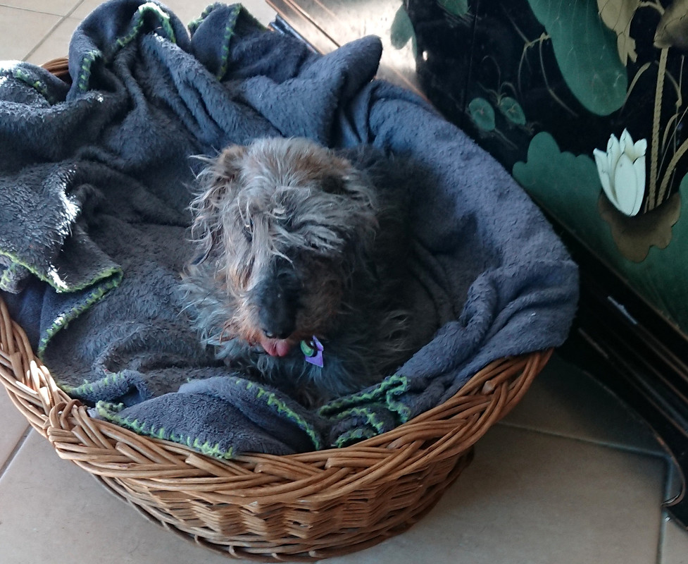 [Image: 20241026-230351.jpg]