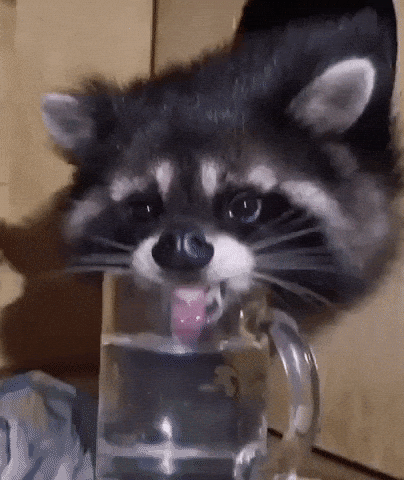 14472f274daff9d1ffcad4865c756d7b.gif