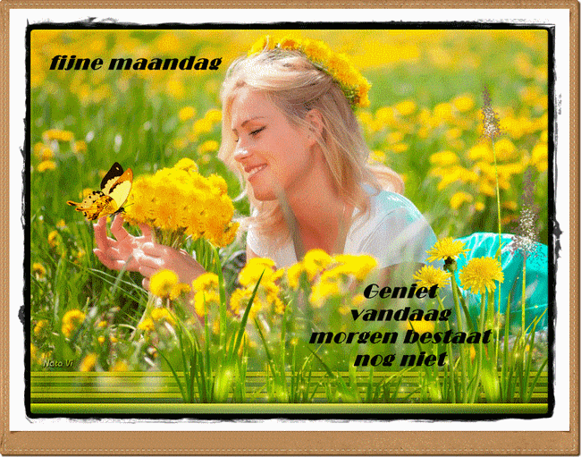welkom opblog Bunic Jos