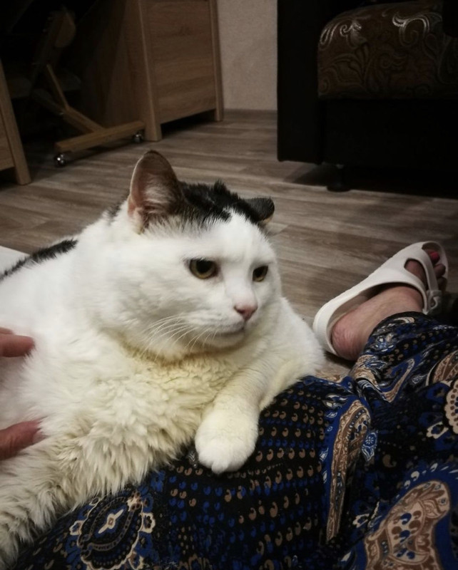 8488266B-DD33-445F-849C-267AC64EAE3A