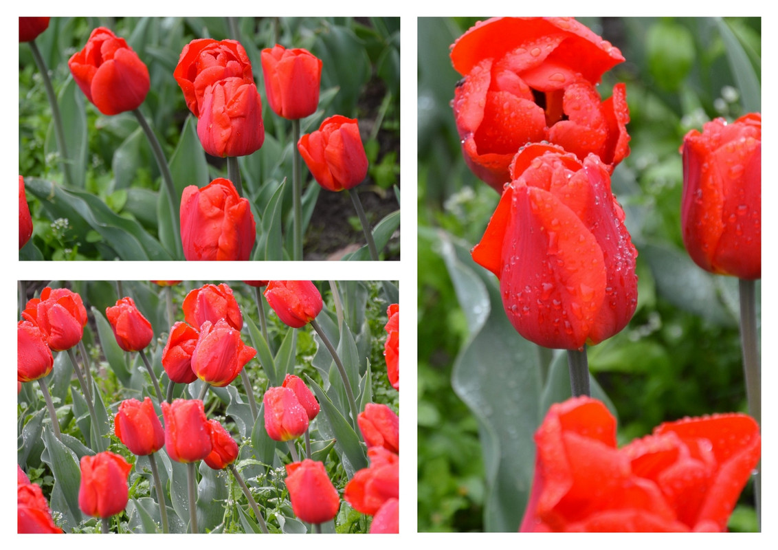 Новый коллаж.jpg 47