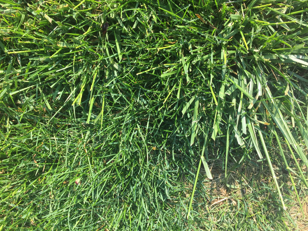 Photo May 04, 09 20 50