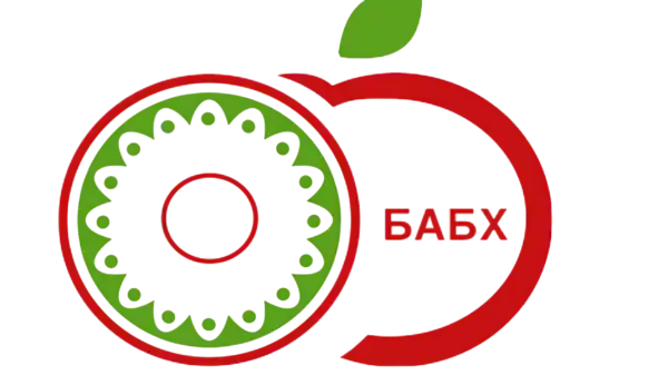 Regulator logo