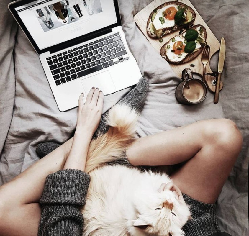 Screenshot_20230501_215733_Pinterest