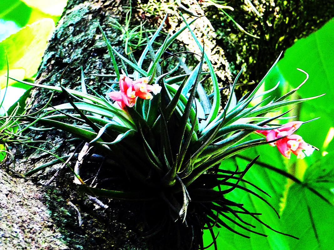 DSCN0092.jpg