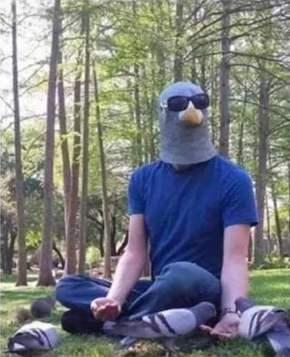 [Linked Image]