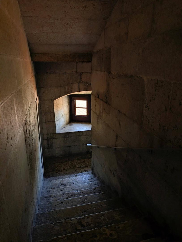 644041811 25560241483675481 229922593158614498 n