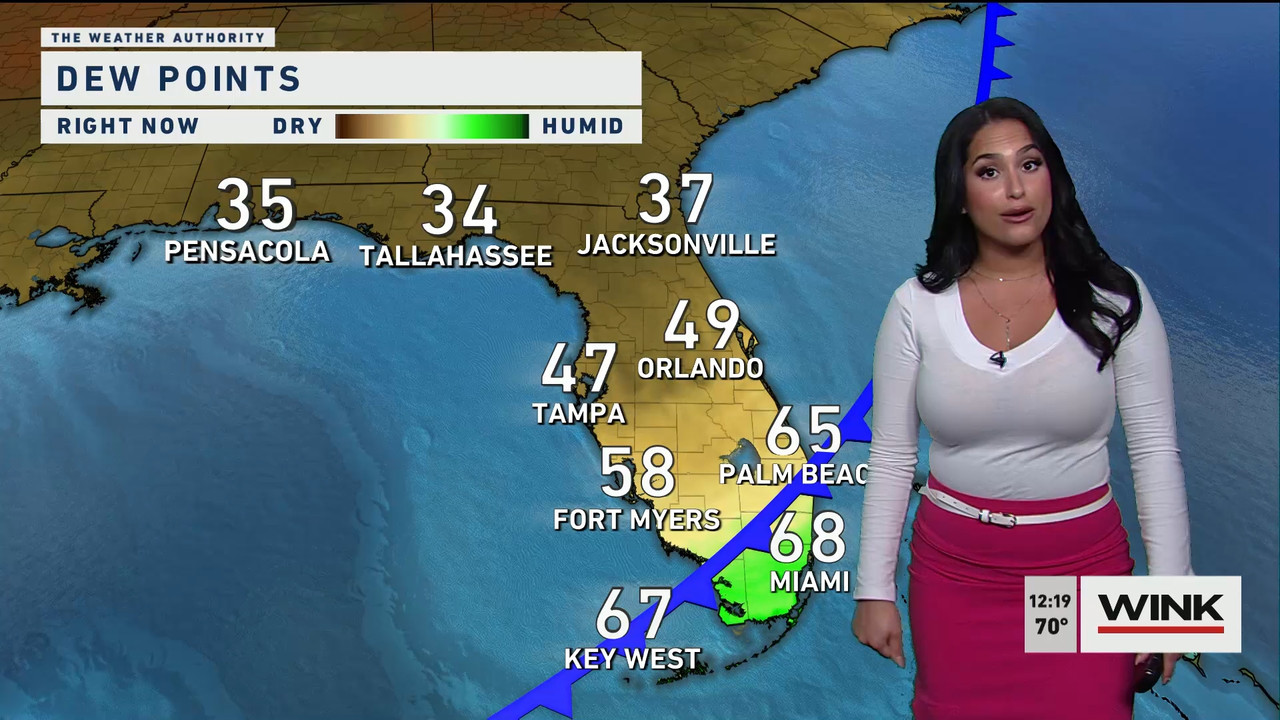 01.26 - 17.00.00 - The WINK Noon News  ᴺᵉʷ. Midday news update..ts_snapshot_25.48.594