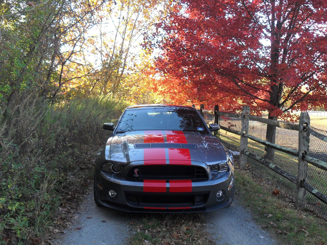 X-F/S Fall pic run - 2 095