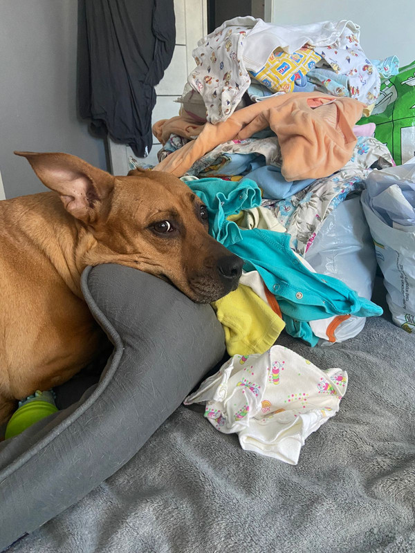 237A6056-2141-4615-8012-FD7796564431