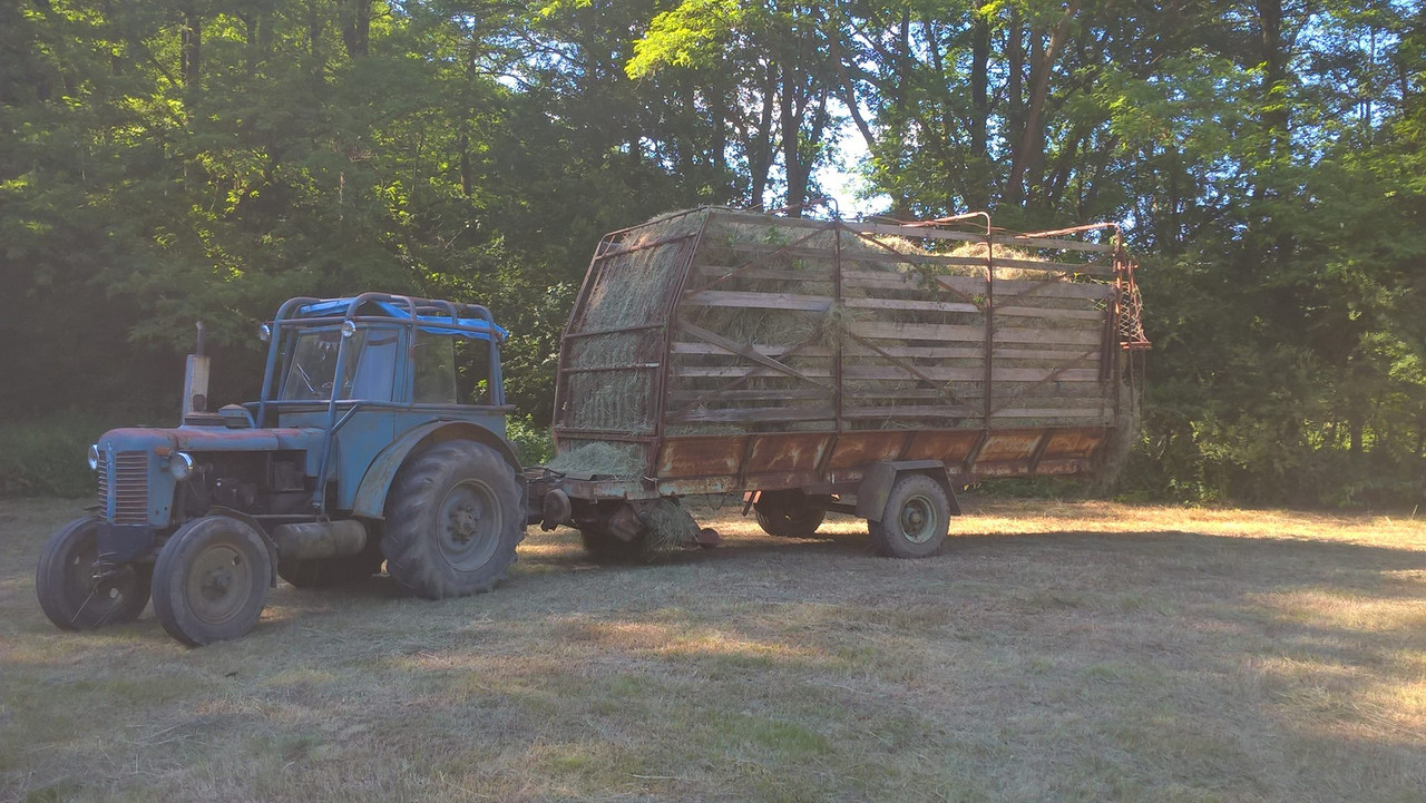 13346334_1345695278779860_1337914946655558772_o