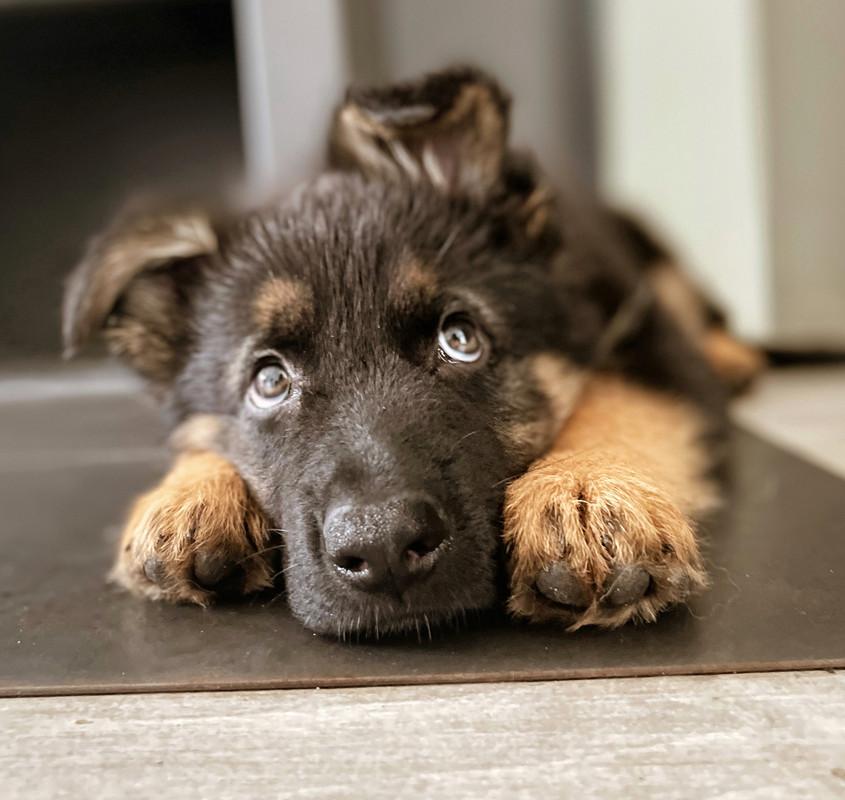 ED045F99-188E-4BEB-9D1C-7DDAD8CD29A0