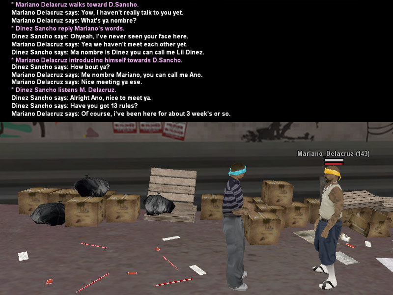 SSRoleplay89.png