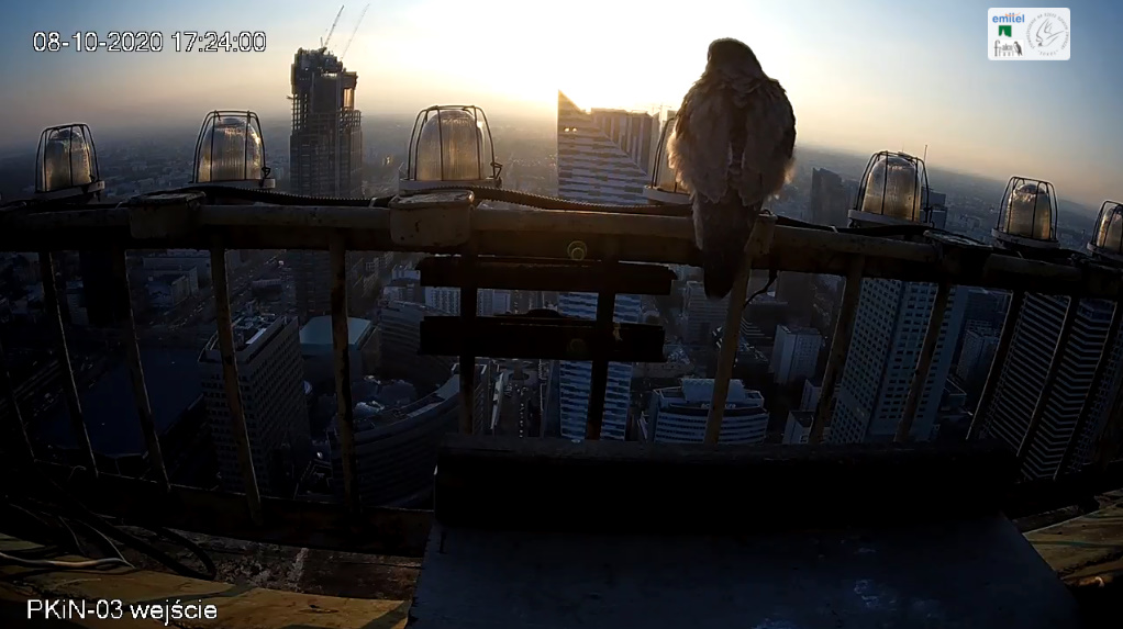 bandicam 2020-10-08 17-24-23-482