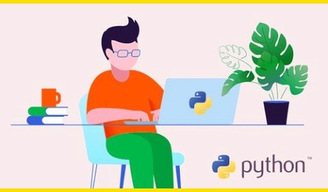 Expert in Python Programming Through Practical (2021-02)
