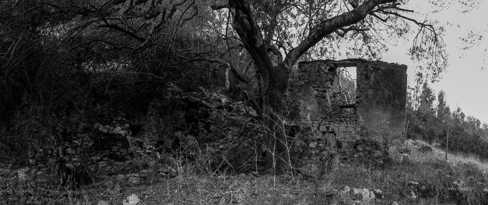 Hive-Vinhas-Ruins-Bn-W-06.jpg