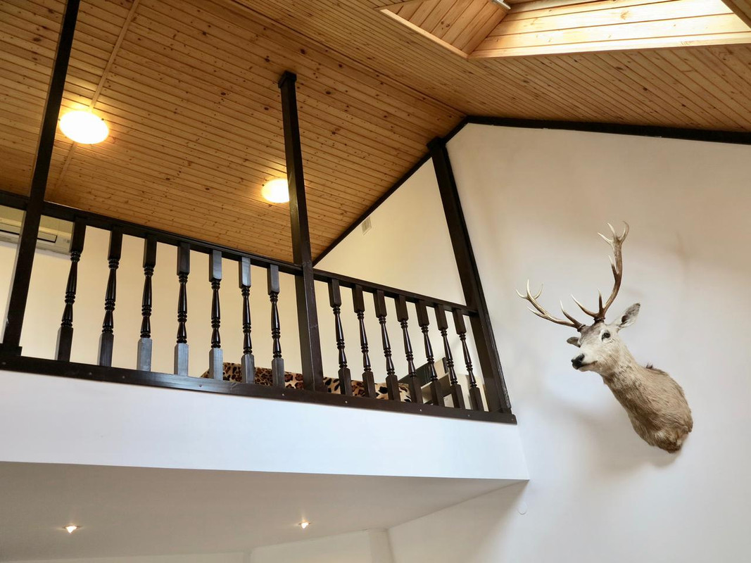 WhatsApp Image 2021-05-12 at 15.49.42 (1)