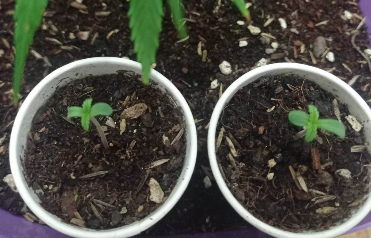 316777935_1163826291230140_1138026245329566664_n