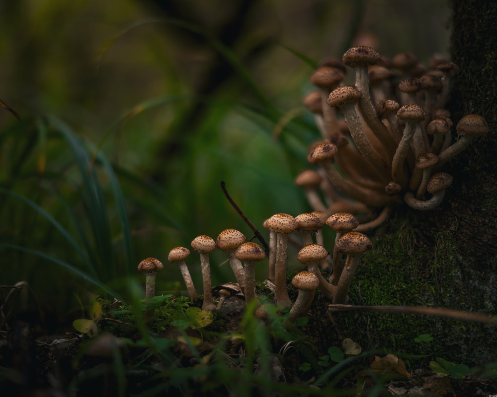 2025-09-01 21-47-13 (A,R1,S2)