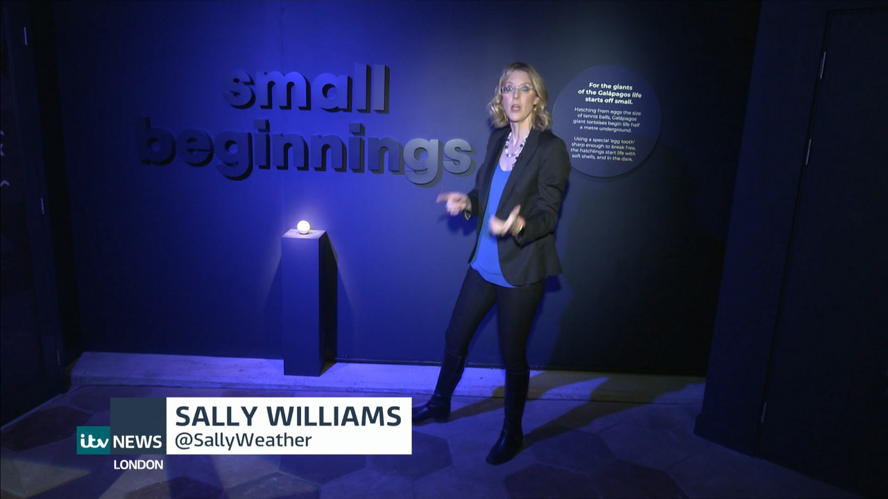 ITV News London_20211008_18001830.ts_snapshot_27.00.742