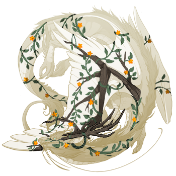 dummy-21.png