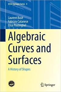 Algebraic Curves and Surfaces: A History of Shapes