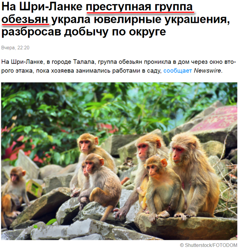 Группа - 1
