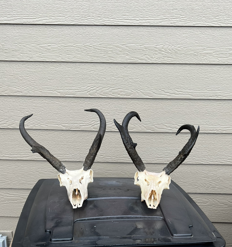 FF76BE94-2372-4432-9BDB-D091FDD41865