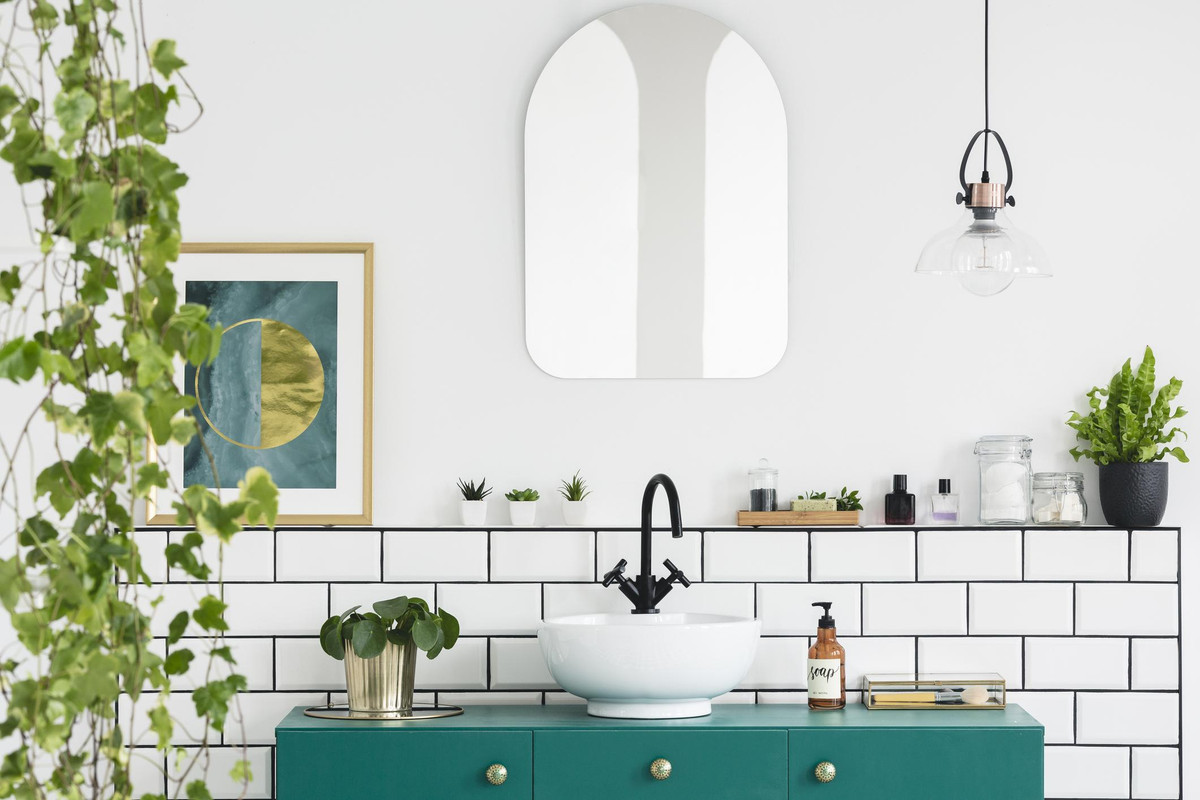 Plantas para tu baño que atraen el dinero, según el Feng Shui