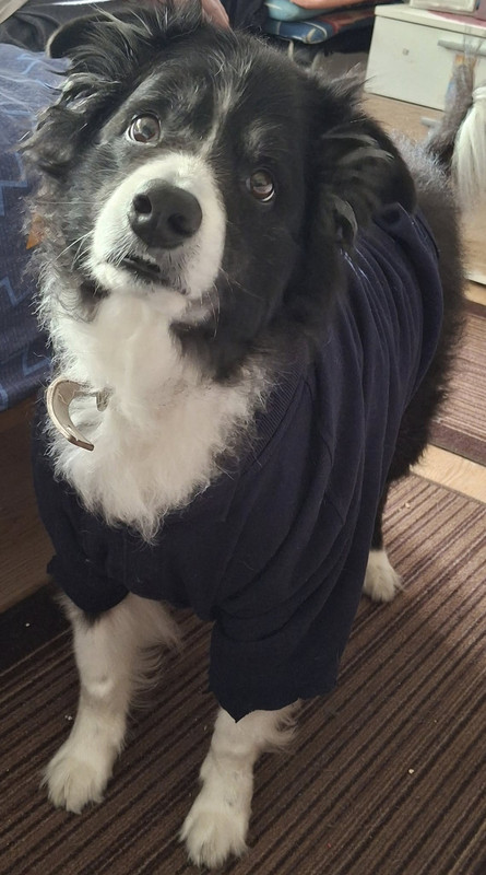 561348619-3082331321941618-1002373015569731181-n