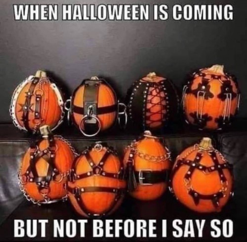thumbs-picdump695-126.jpg