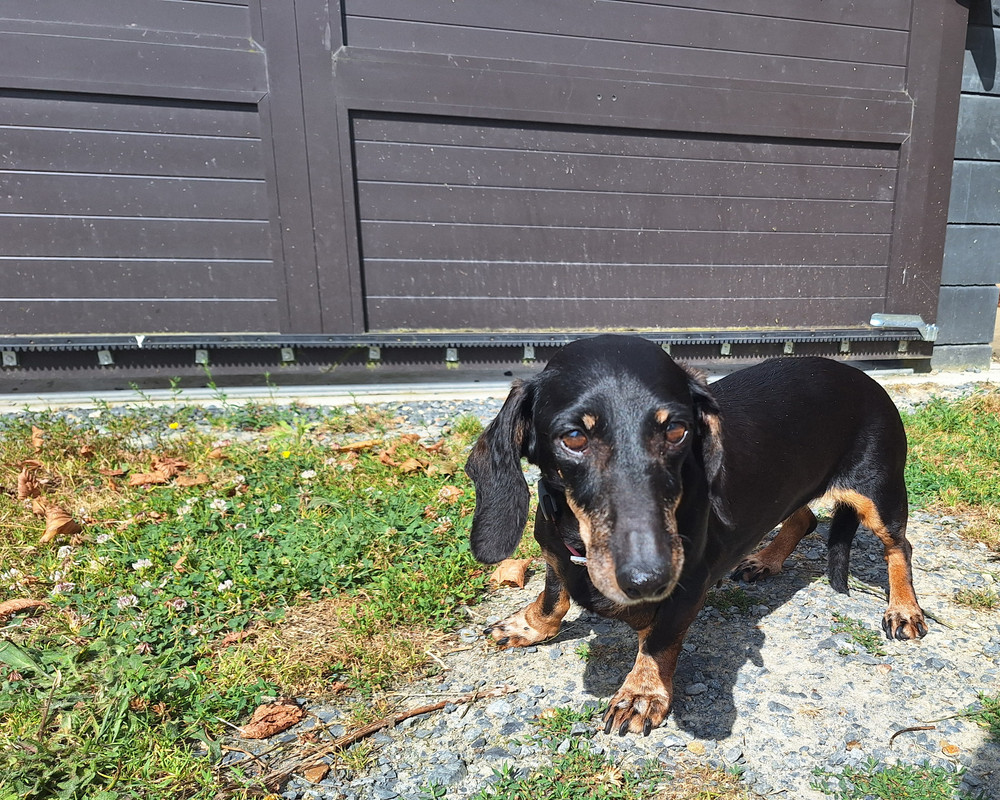 [Image: 20240710-104702-0.jpg]