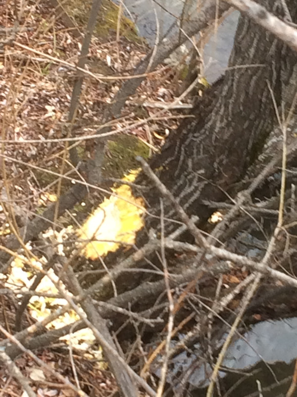 D0176530-8EC6-47F1-A830-372086937BBC