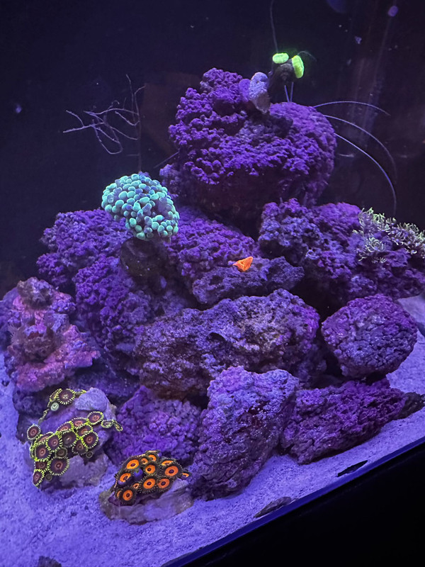 WhatsApp Image 2025-02-20 at 10.30.09(2)