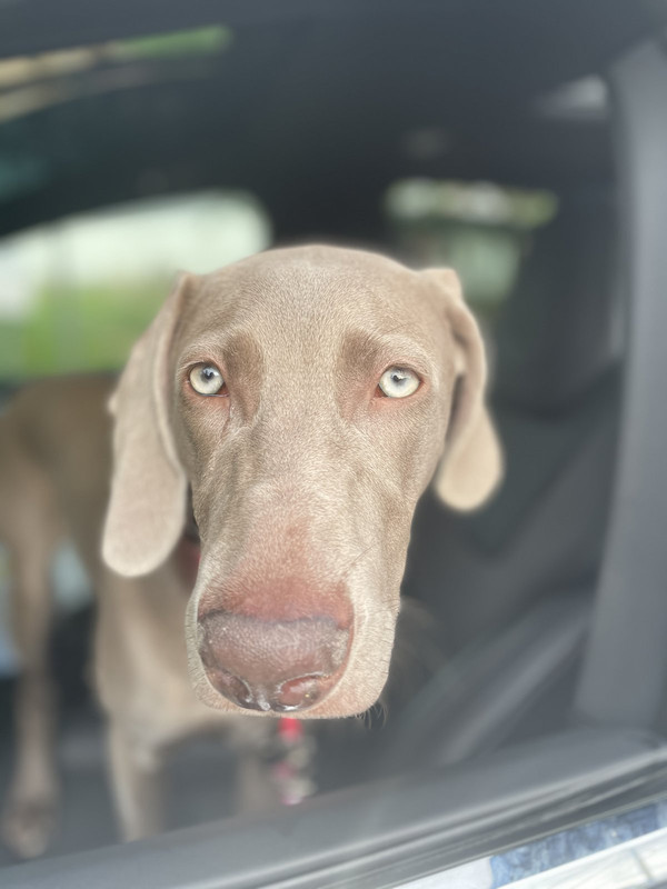 FA7CA603-2930-4FAD-AEF5-FEC4D10D1867