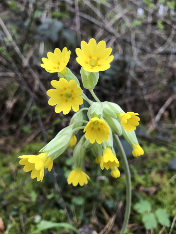 CCBEC6AF-91FC-42D9-8128-86FFDCC0E003