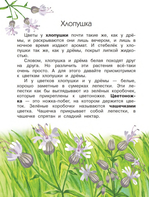 Onegov-Anatolij-Pochemu-kukushka-slozki-lot-page-0035
