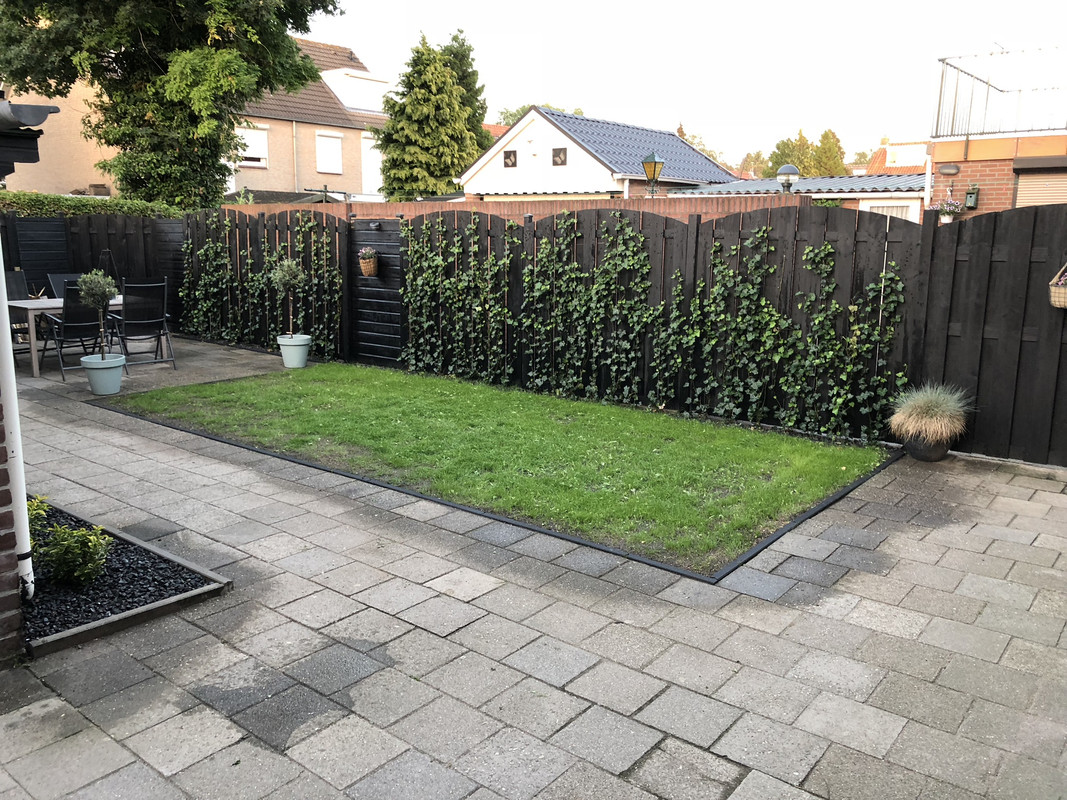 9035ABEE-D31A-439B-88FD-AF23A7F4E945