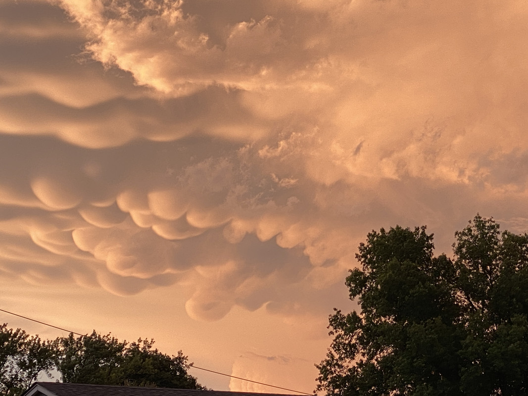 137AD117-462C-4A12-88D5-CCF5676590D6