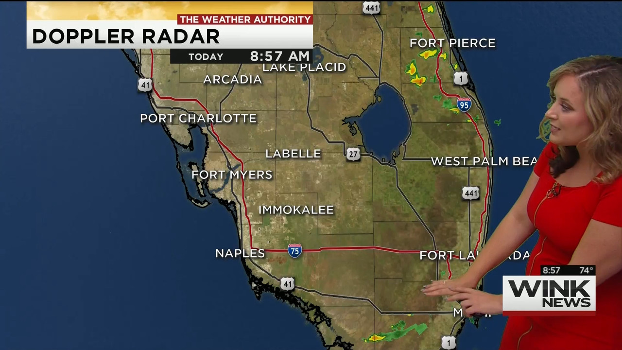 23 May - 14.00.00 - WINK News @ 9 00AM..ts_snapshot_00.02.20_[2020.05.23_17.10.40]