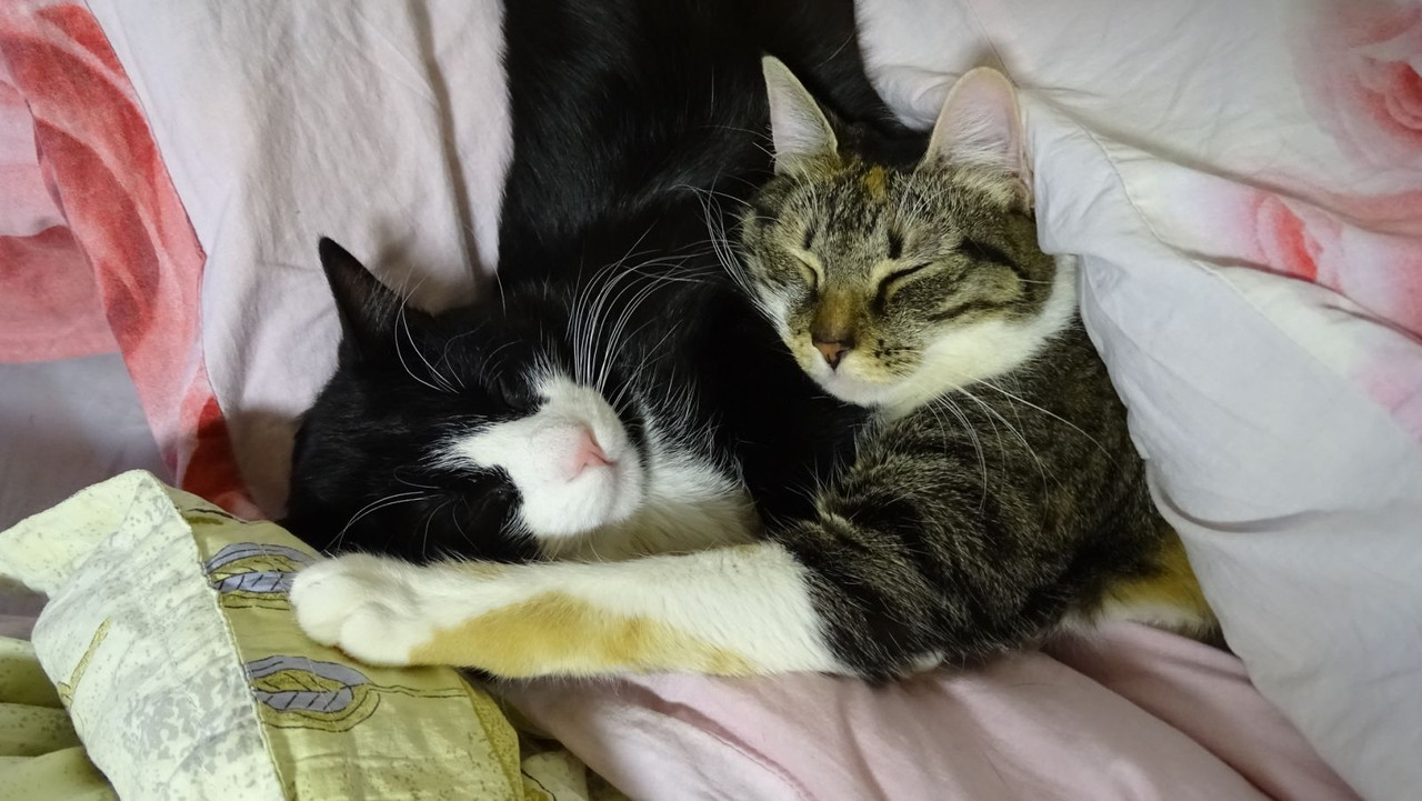 изображение_viber_2021-01-18_15-48-34