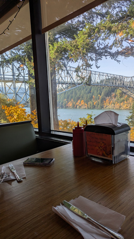 PXL 20251108 194339078