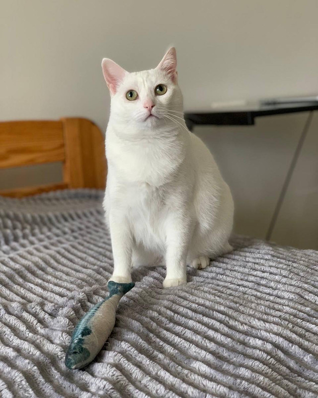 5BA343BB-30CD-4F2A-B1E8-1262DFBAE8A1