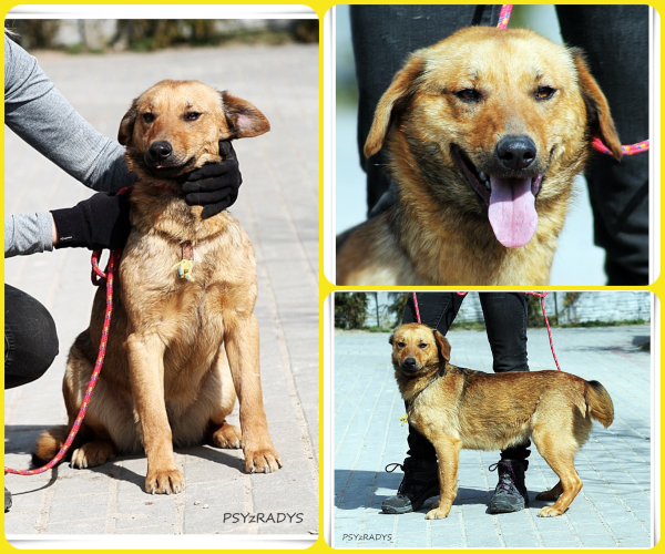 BeFunky-collage (11)