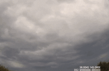 GIFs-10